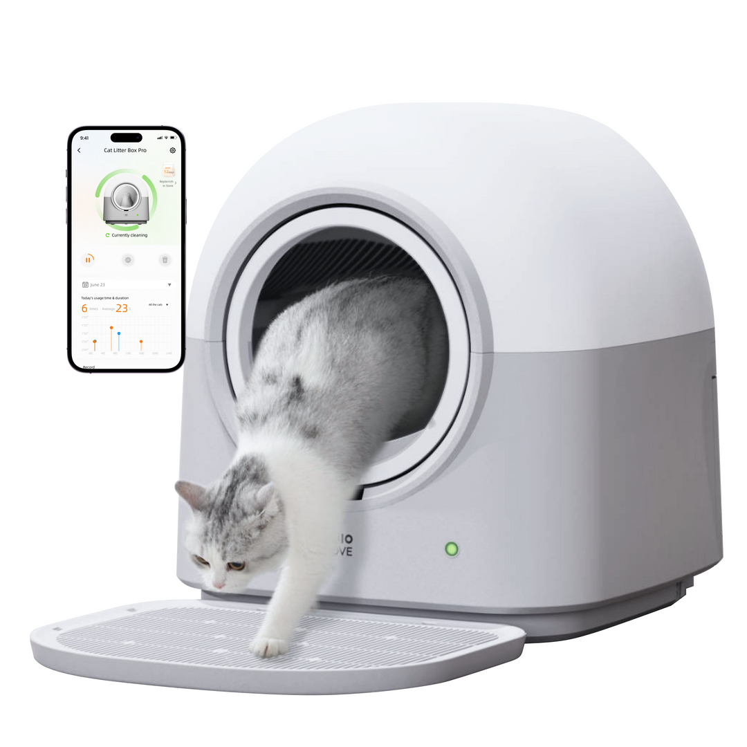 How Many Litter Boxes Do You Need for Multiple Cats?