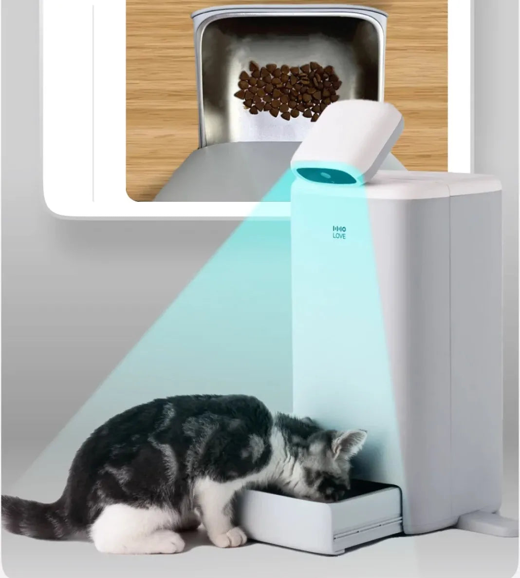 HHOLOVE O Sitter and automatic cat feeding