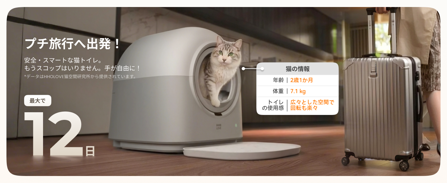 HHOLOVE 产品介绍