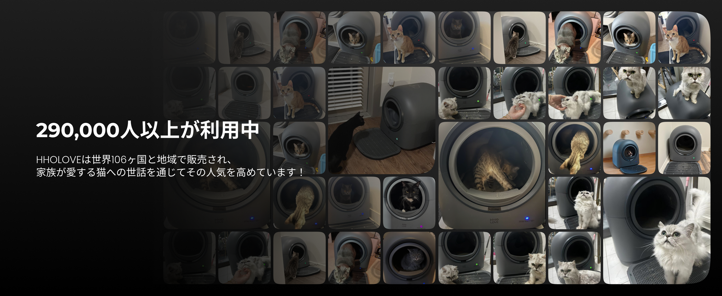 HHOLOVE 产品介绍