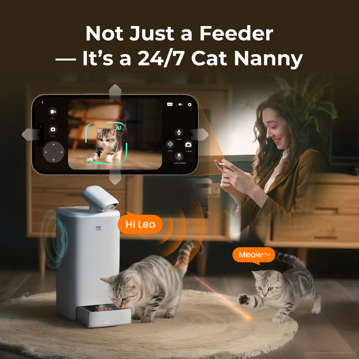 HHOLOVE O Sitter,Automatic Cat Feeder with AI Camera, 2K HD Video