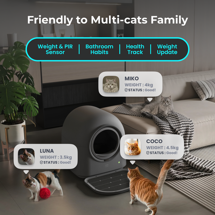 HHOLOVE Automatic Self-Cleaning Cat Litter Box Pro Dark Grey