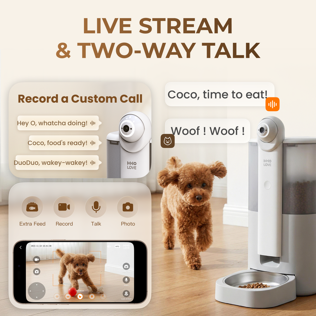 YUNO 360° AI Vision Pet Feeder — Includes 3 Months of Standard AI Care Plan