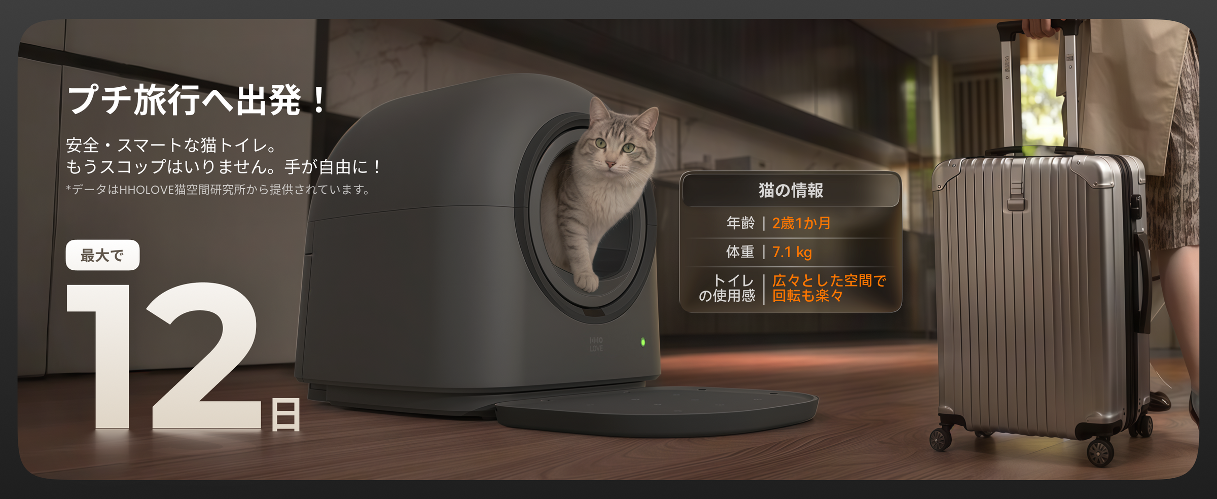 HHOLOVE 产品介绍