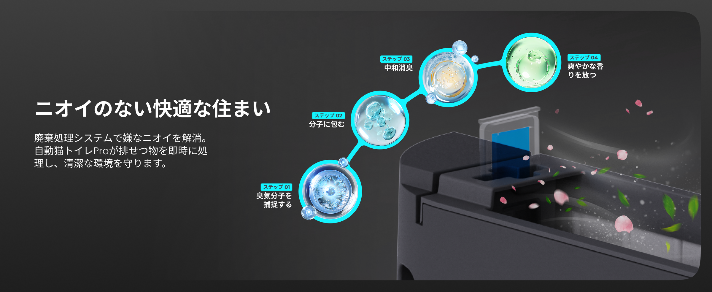 HHOLOVE 产品介绍