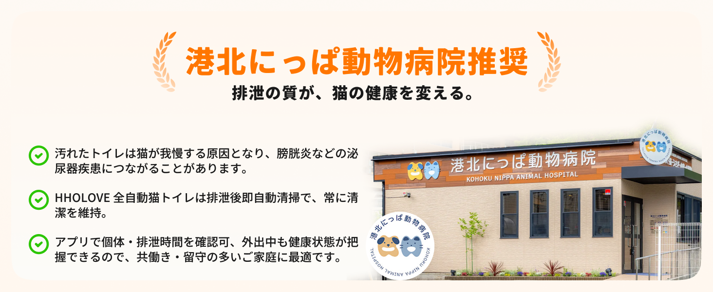 HHOLOVE 产品介绍