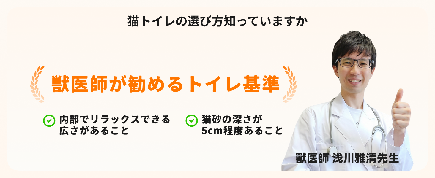 HHOLOVE 产品介绍