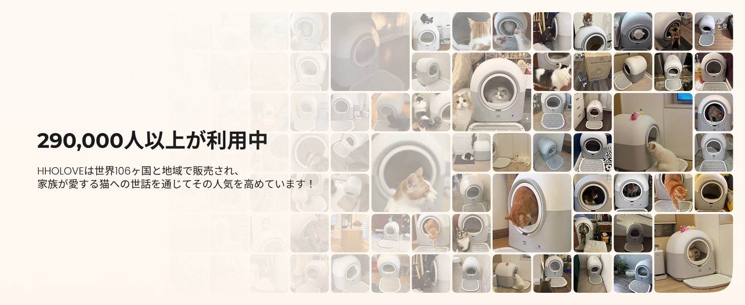 HHOLOVE 产品介绍