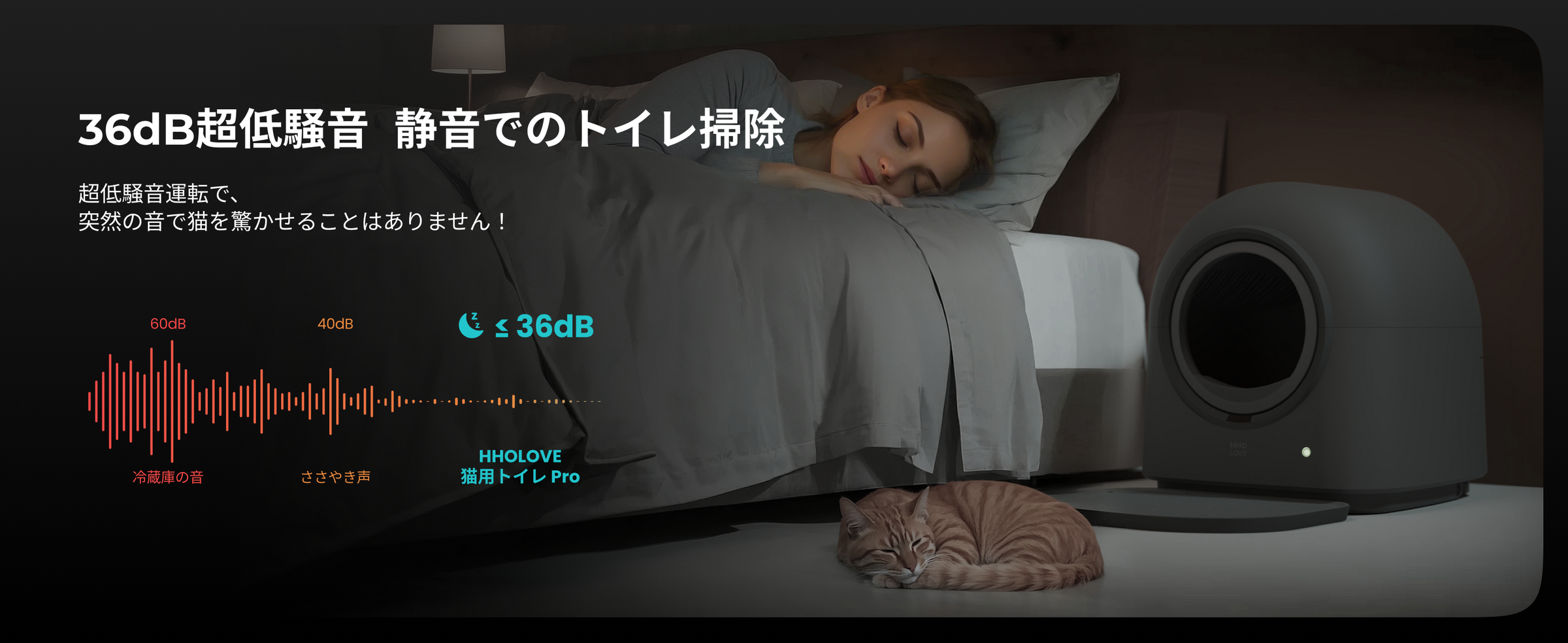 HHOLOVE 产品介绍