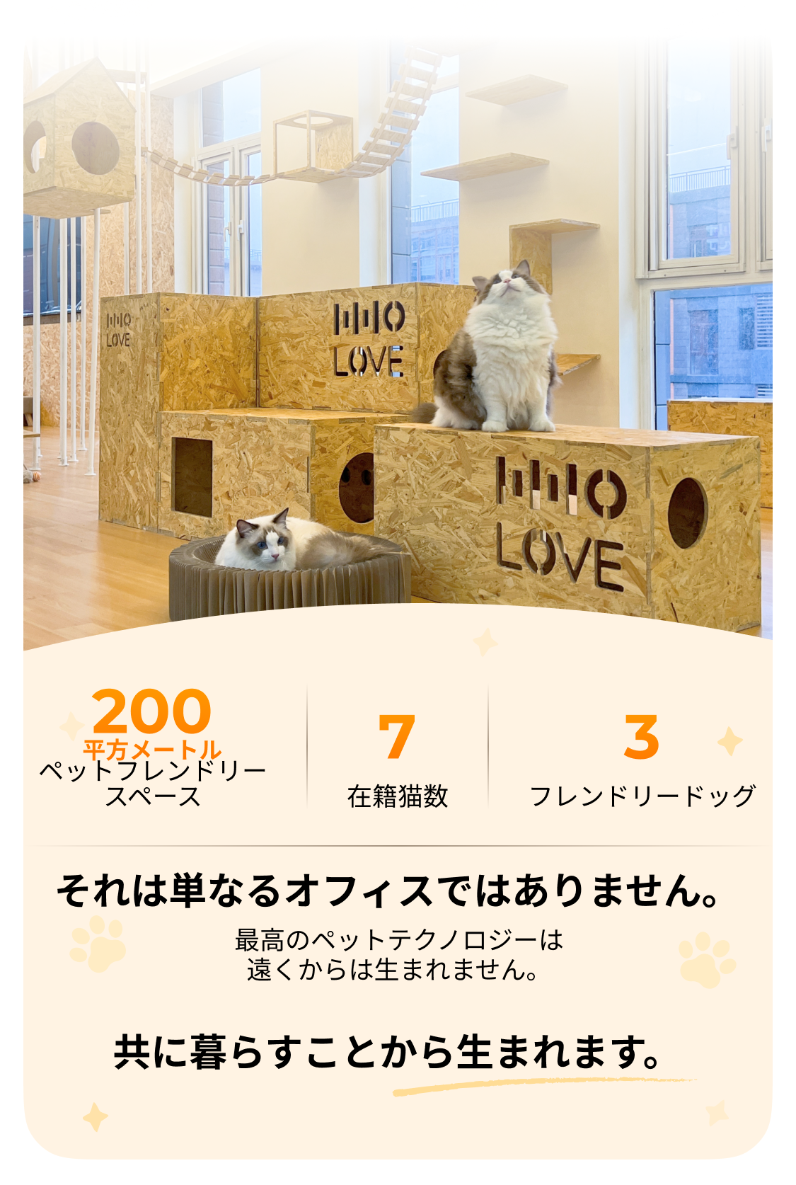 AIでデザイン。
愛で育てる。