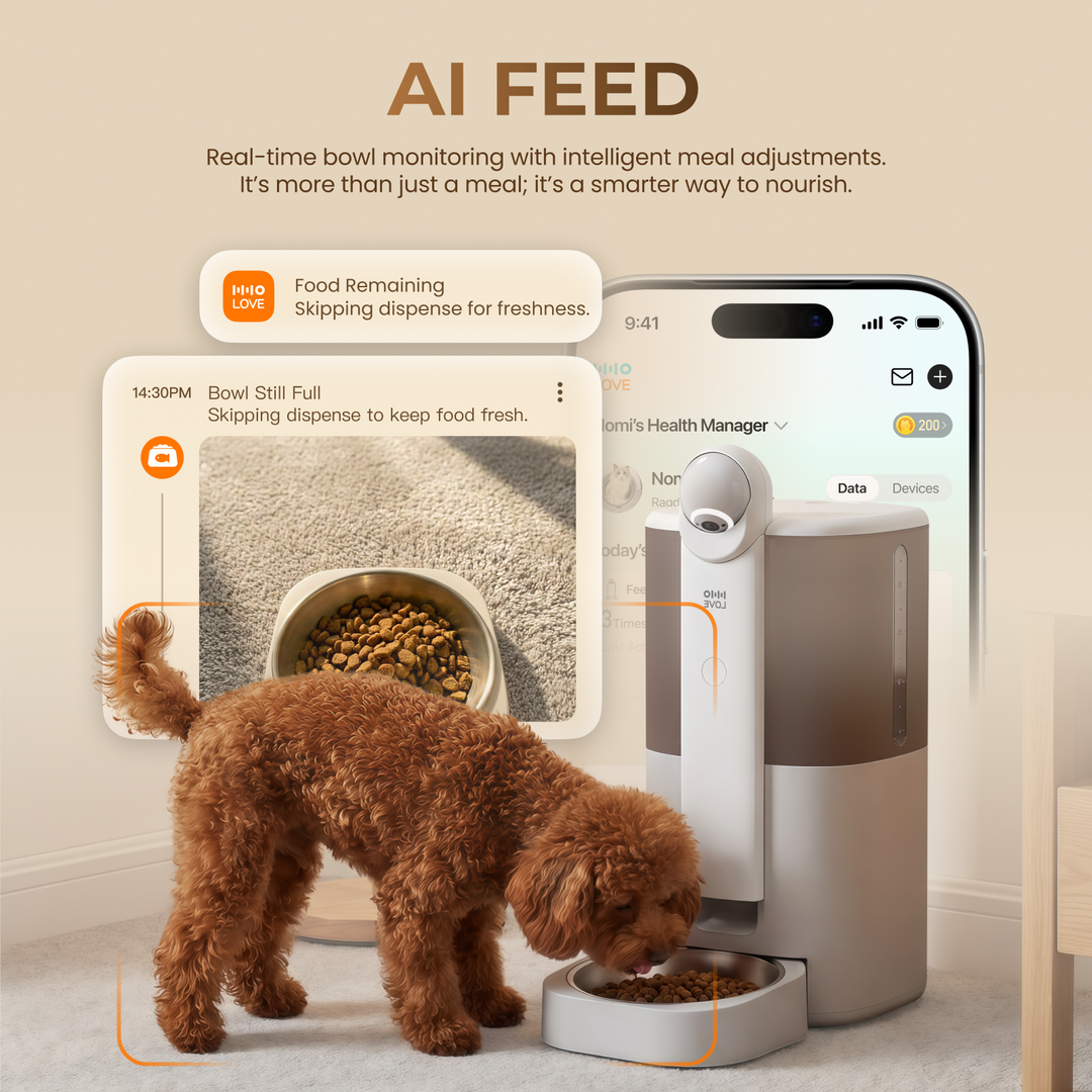 YUNO 360° AI Vision Pet Feeder — Includes 3 Months of Standard AI Care Plan