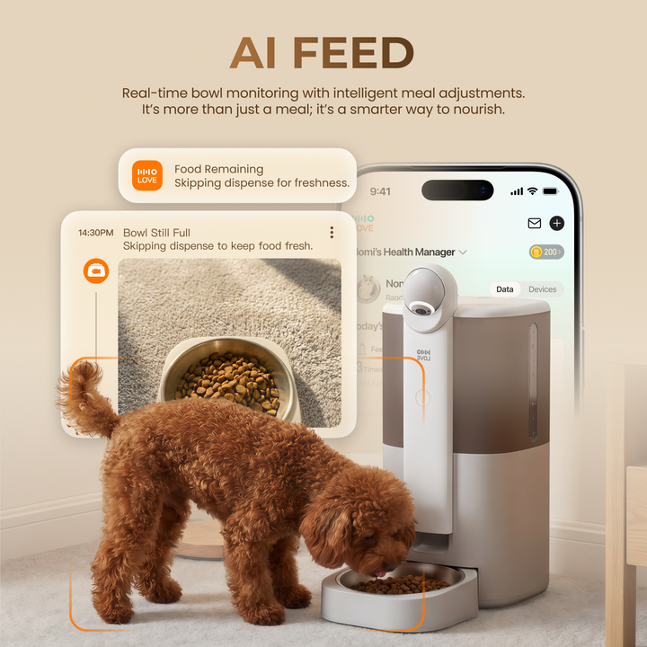 YUNO 360° AI Vision Pet Feeder — Includes 3 Months of Standard AI Care Plan