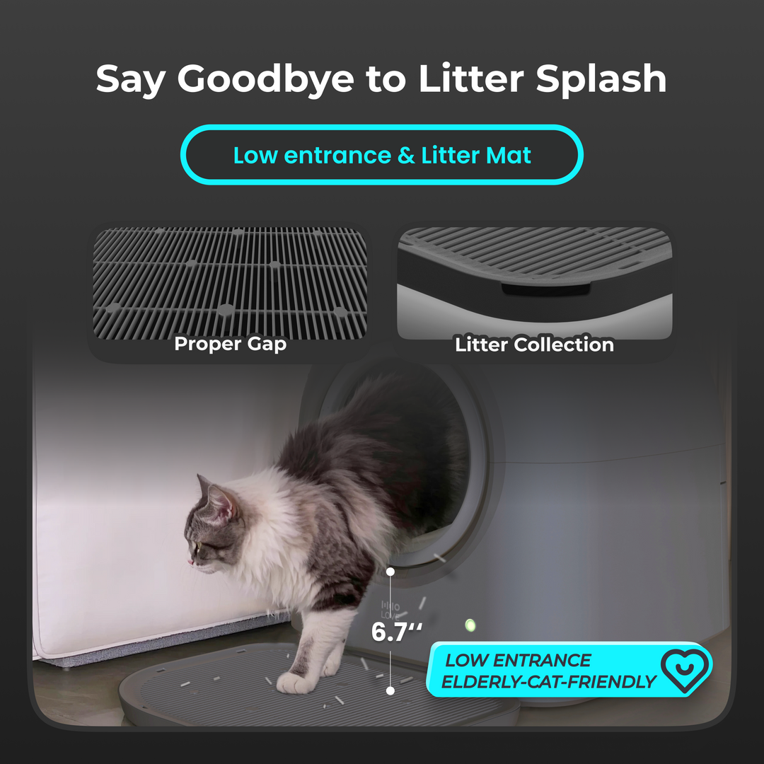 HHOLOVE Automatic Self-Cleaning Cat Litter Box Pro Dark Grey