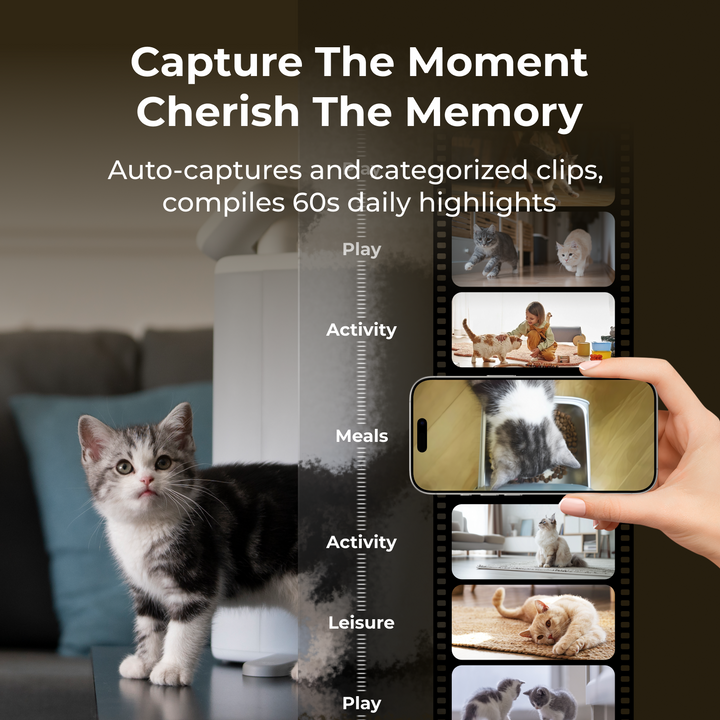 HHOLOVE O Sitter,Automatic Cat Feeder with AI Camera, 2K HD Video