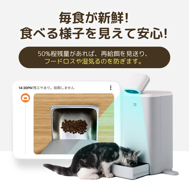 HHOLOVE O Sitter、AIカメラ付き自動猫用給餌器、2K HDビデオ