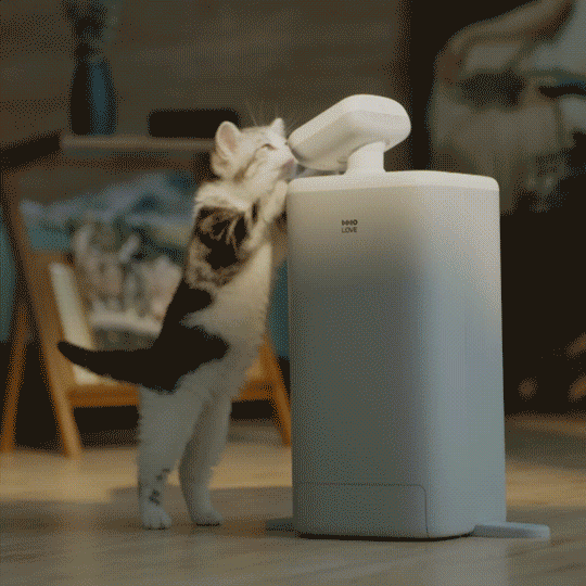 HHOLOVE O Sitter,Automatic Cat Feeder with AI Camera, 2K HD Video