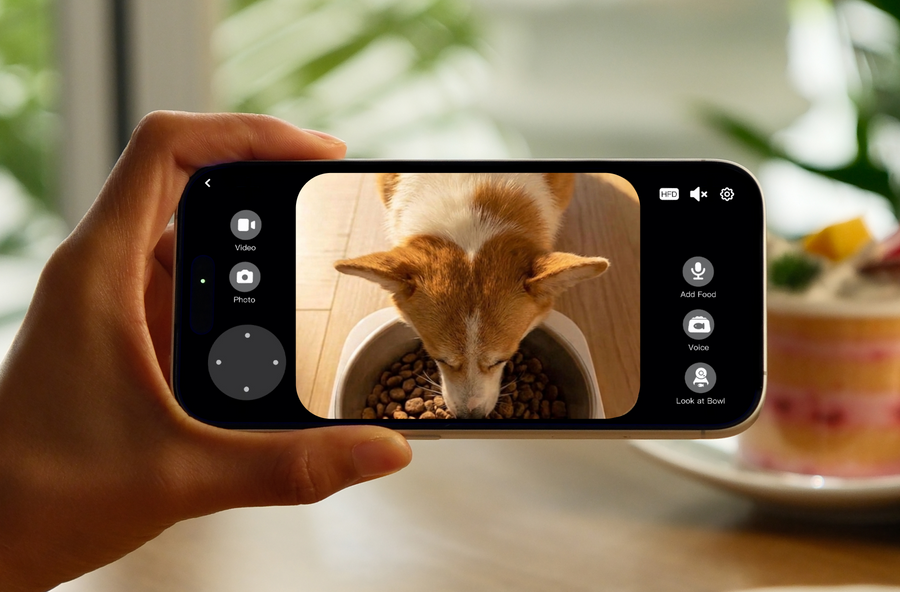 360°ビュー、いつでも