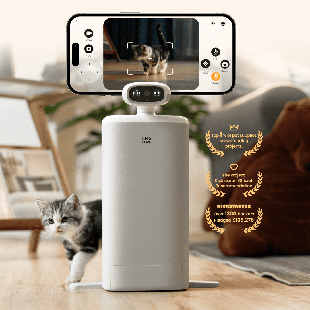 HHOLOVE O Sitter,Automatic Cat Feeder with AI Camera, 2K HD Video