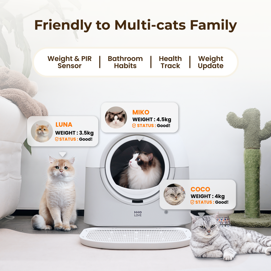 HHOLOVE Automatic Self-Cleaning Cat Litter Box Pro White