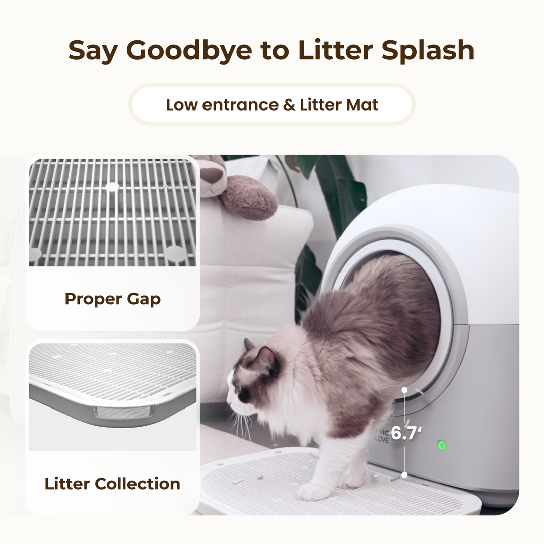 HHOLOVE Automatic Self-Cleaning Cat Litter Box Pro White