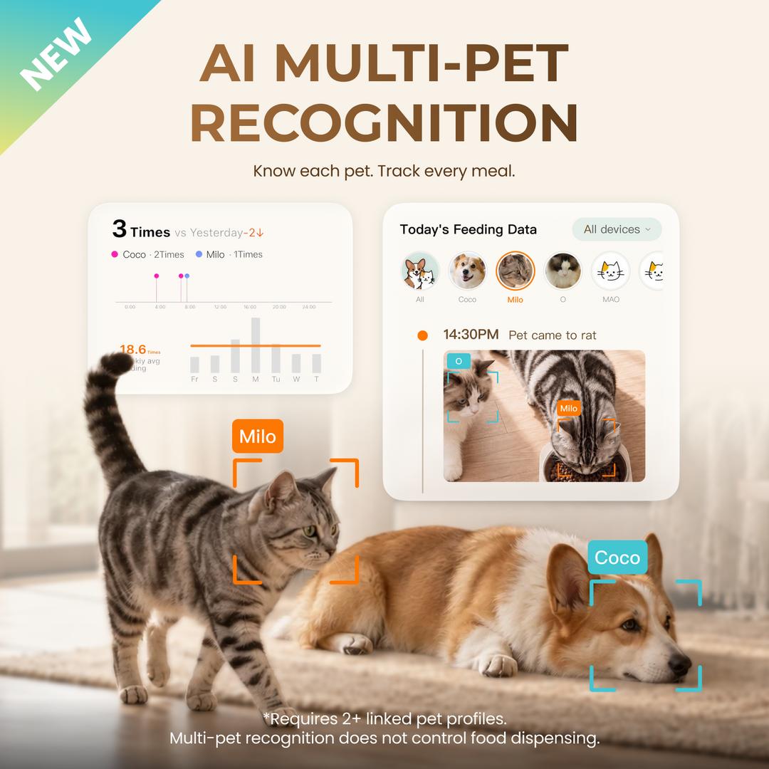 YUNO 360° AI Vision Pet Feeder — Includes 3 Months of Standard AI Care Plan