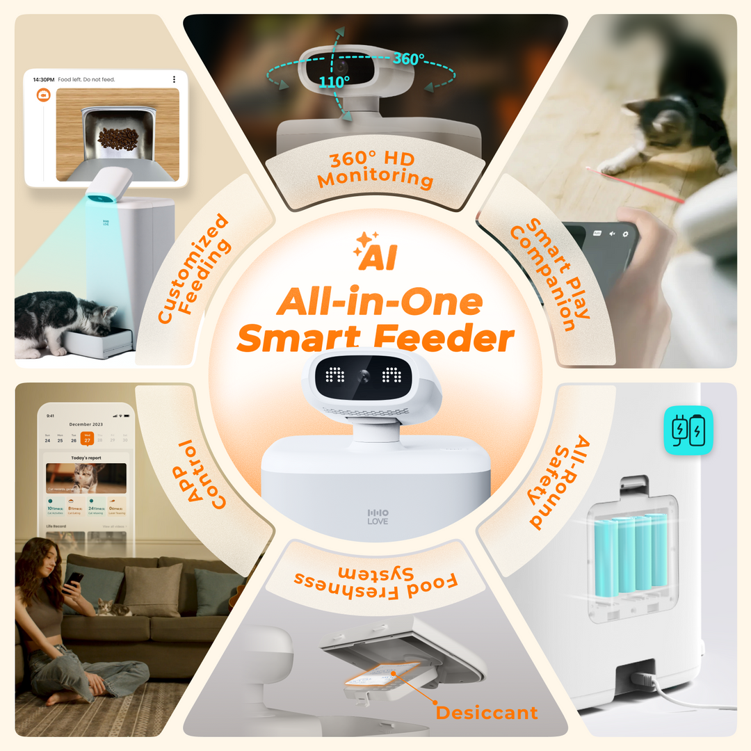 HHOLOVE O Sitter,Automatic Cat Feeder with AI Camera, 2K HD Video