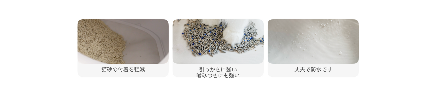 功能图片