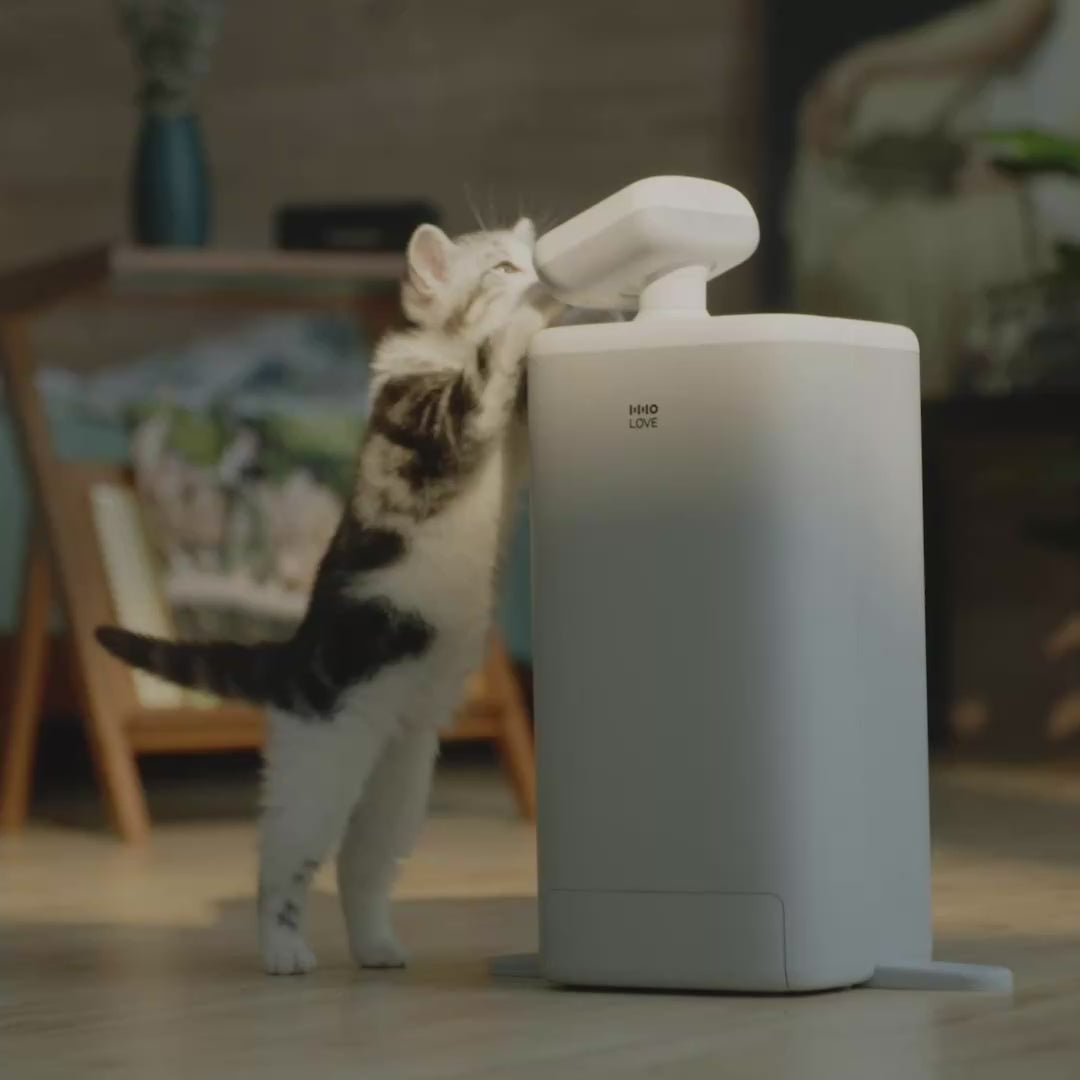 HHOLOVE O Sitter、AIカメラ付き自動猫用給餌器、2K HDビデオ